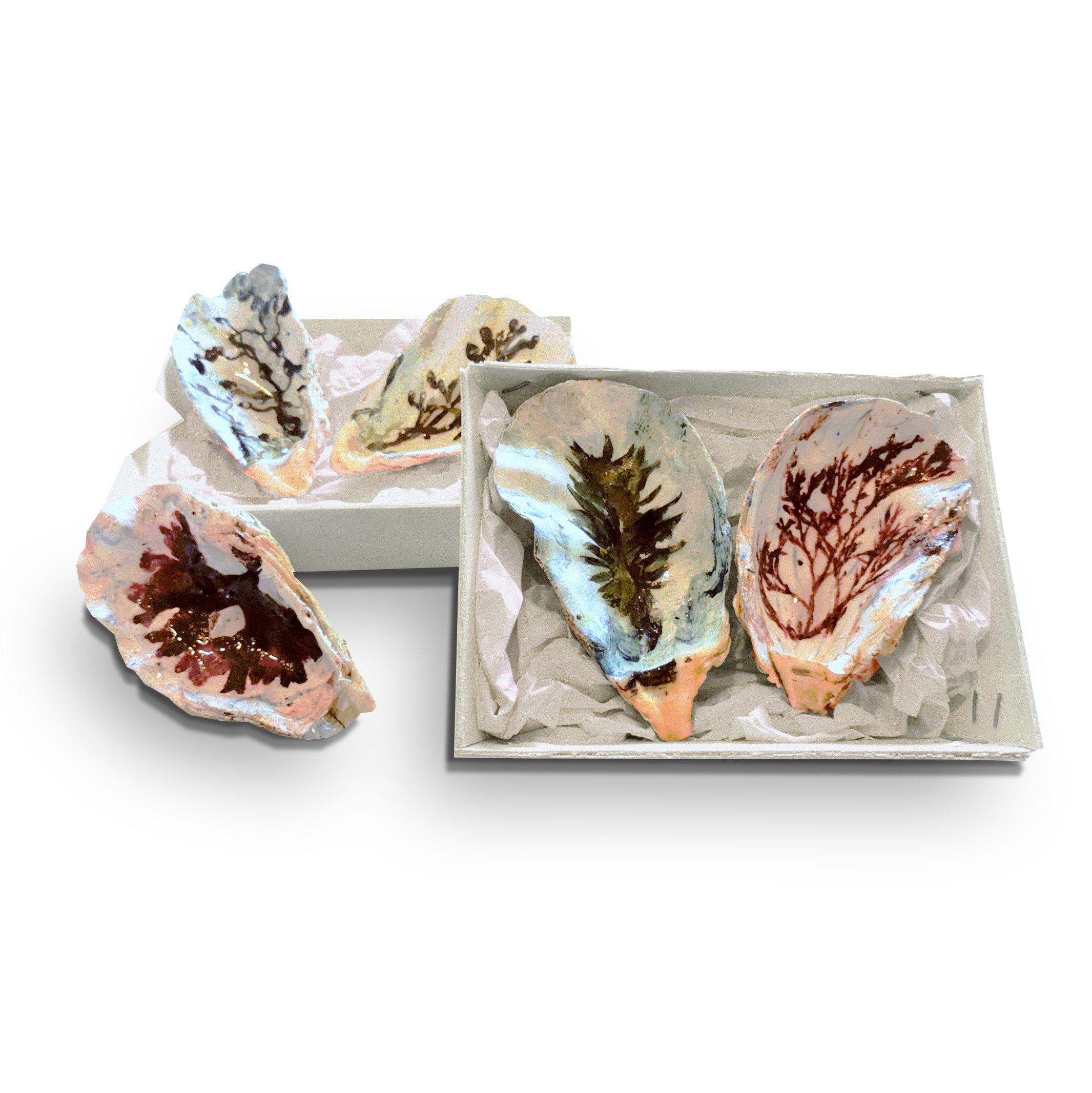 Oyster shell plate